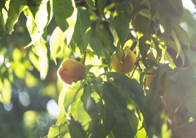 Reducing waste & increasing efficiency